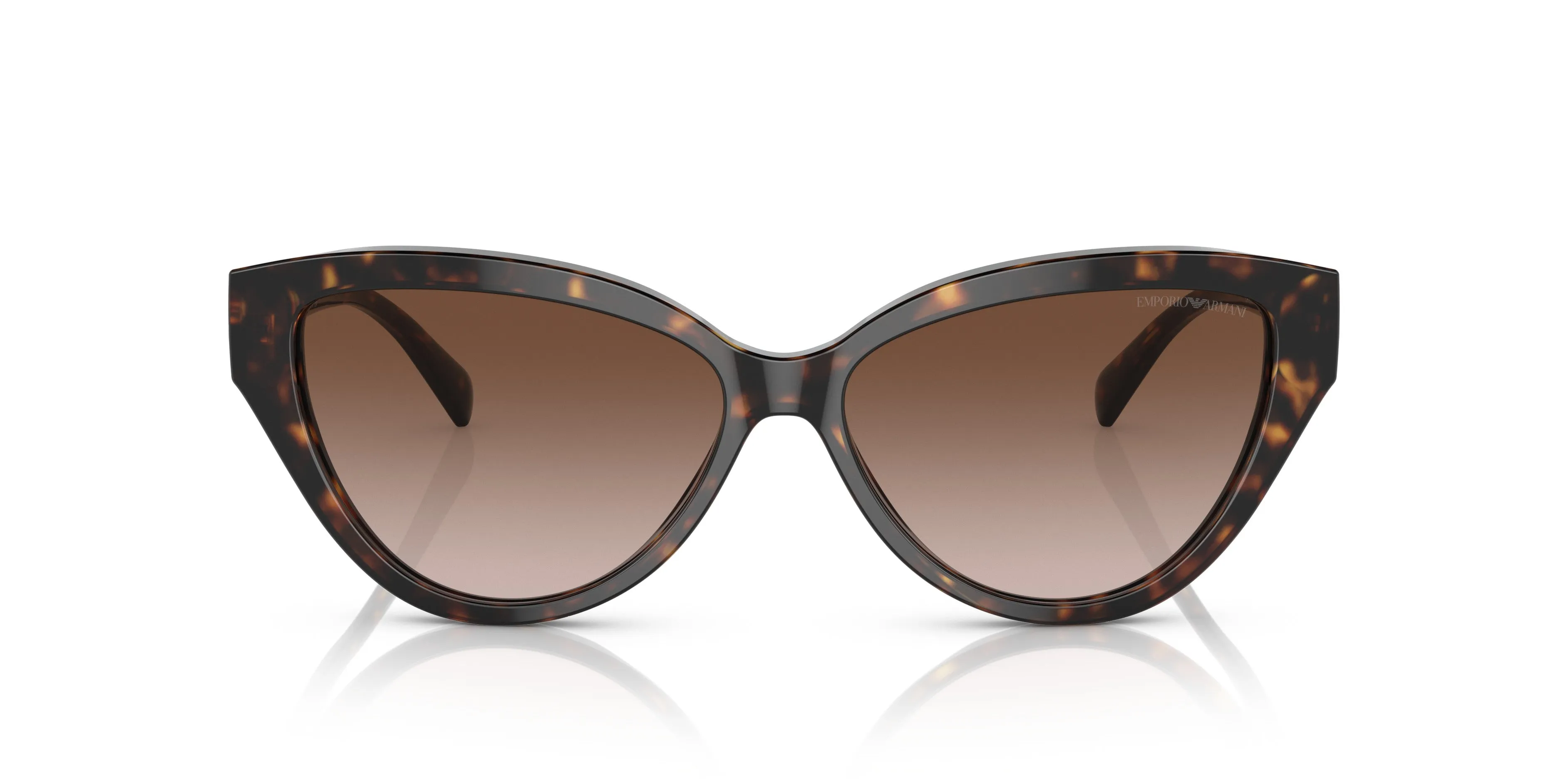 Emporio Armani 0EA4192 502613 Shiny havana Cat eye Sunglasses