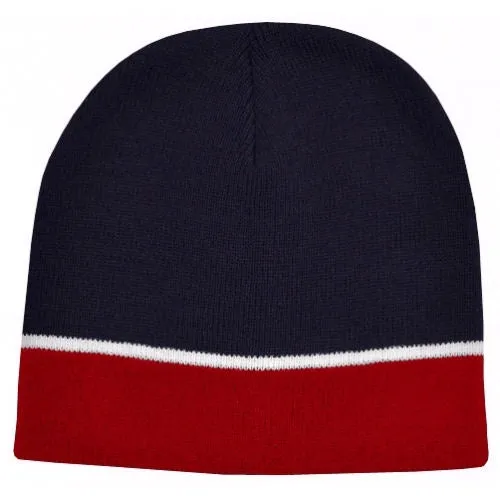 Icon Two Tone Beanie