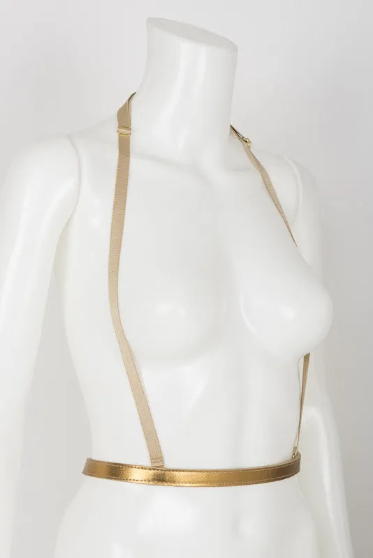 Lavish Suspender Belt
